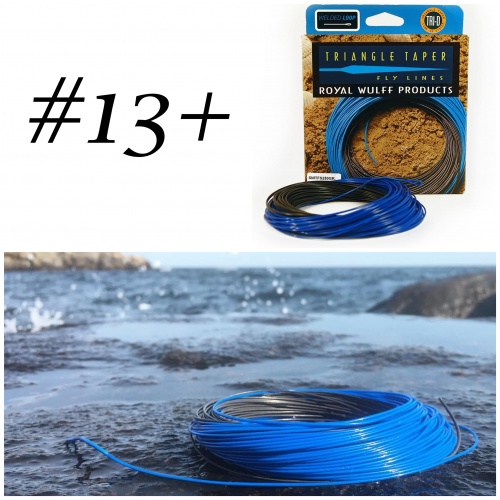 #13+ Weight Fly Lines